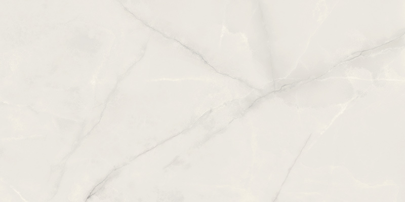 PP-Onix-Pearl-mat-598x1198-F1_DdMS2xf