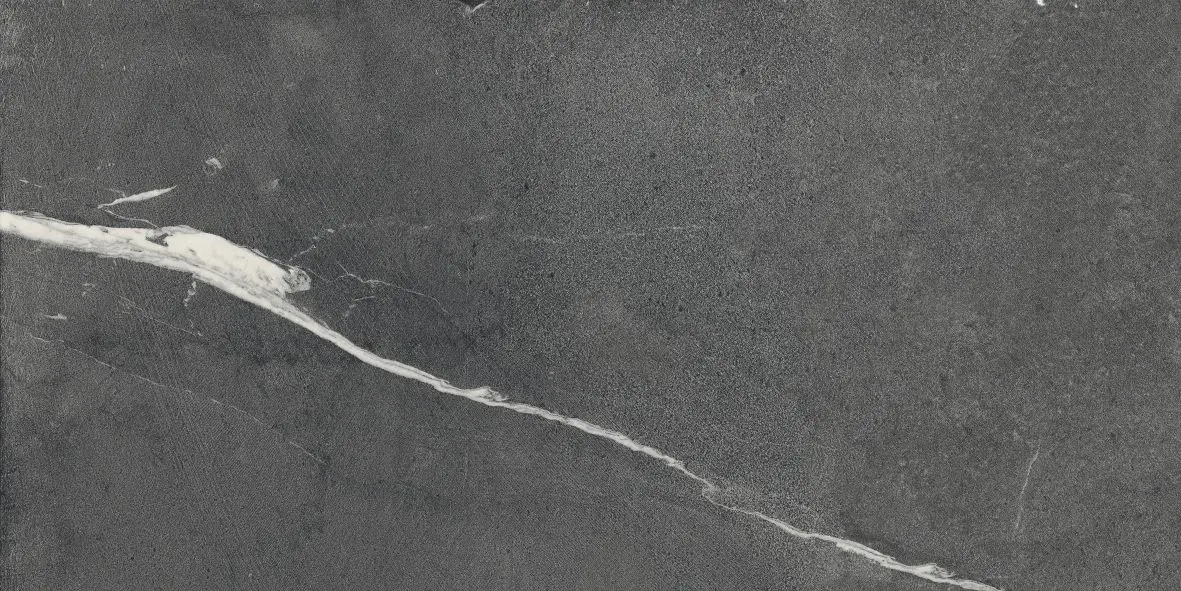 LOTUS_LOTUS_COAL_NAT_RECT_60X120_A042011