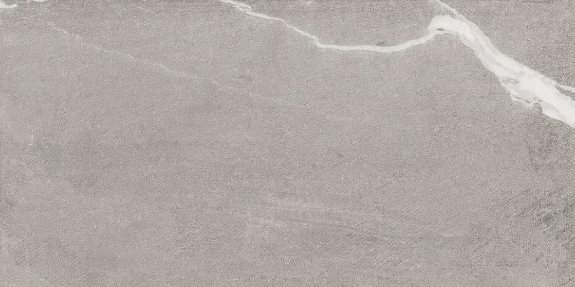 LOTUS_LOTUS_GREY_NAT_RECT_60X120_A042012