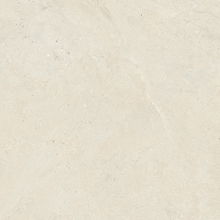 DURANGO BONE C-2 (R10) L 59.6X59.6 (A)