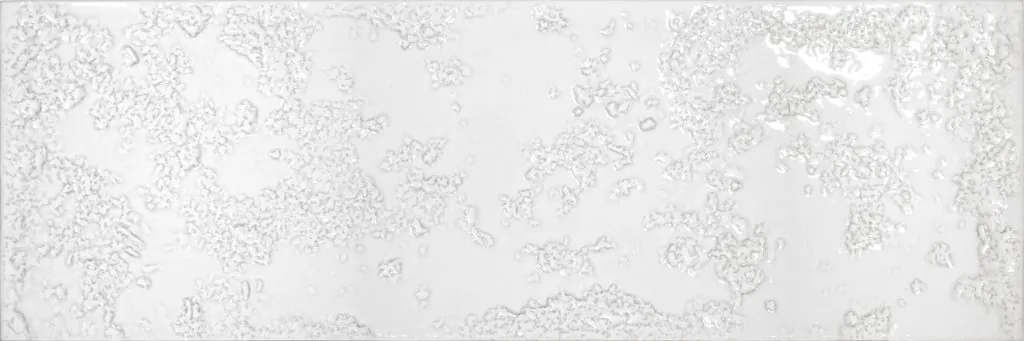 22454WL50400001@0-1-1024x341