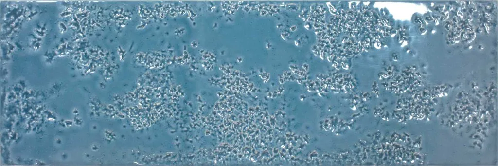 22454WL5BH00001@0-1-1024x341